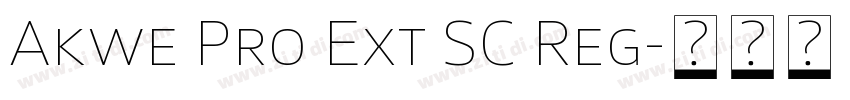 Akwe Pro Ext SC Reg字体转换